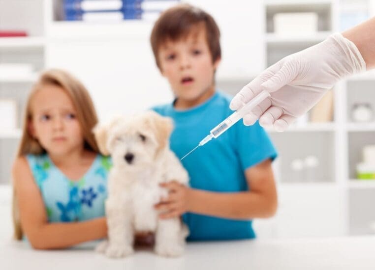 programma di vaccinazione